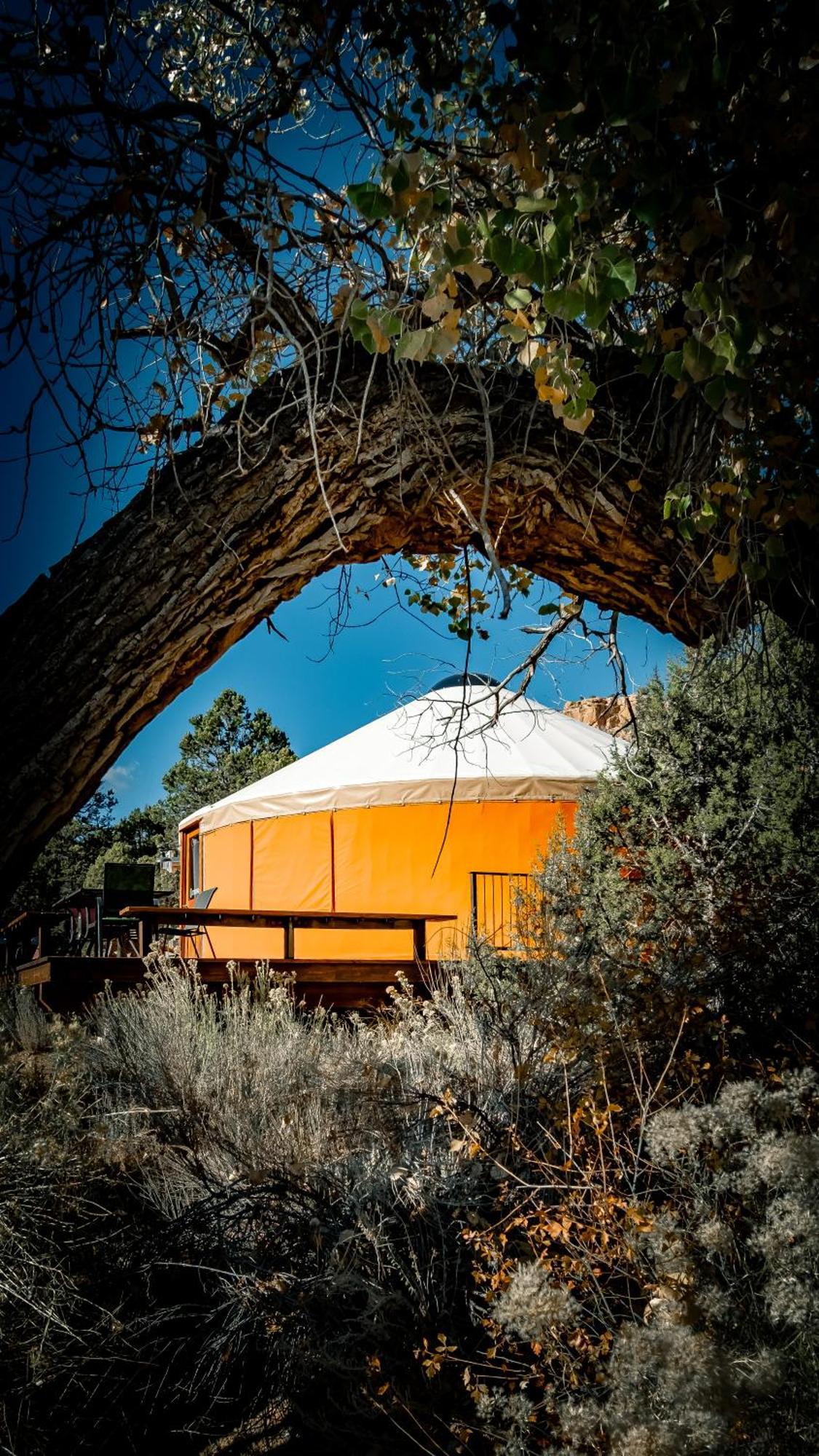 Escalante Yurts - Luxury Lodging Екстериор снимка